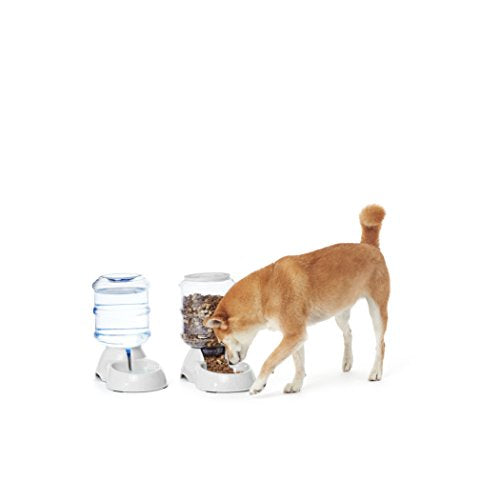 Basics Large Gravity Pet Food Feeder and Water Dispenser Bundle